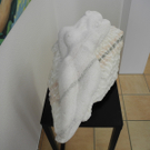 DSCN7070_JPG-1306137954
