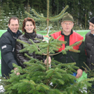 Der Ländle Christbaum