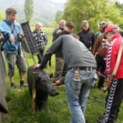 freundeturnier 30_4_201126.JPG