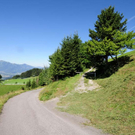 Liegenschaft in Fraxern