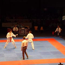 P1020953.JPG