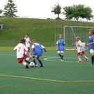 P5220004_JPG-1306179732