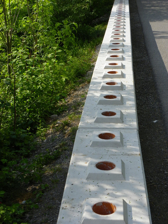 110_5009_JPG-1306183577