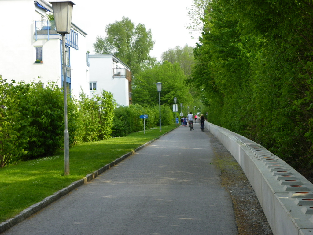 110_5011_JPG-1306183491