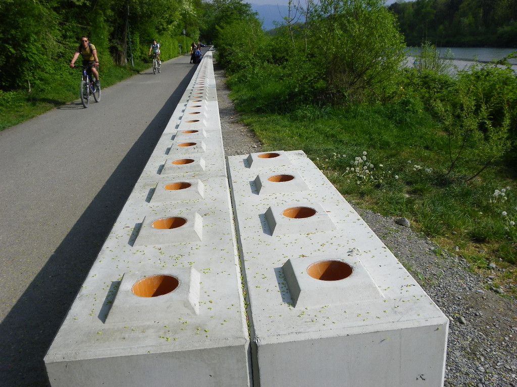 110_5000_JPG-1306183530