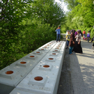 110_5003_JPG-1306183553