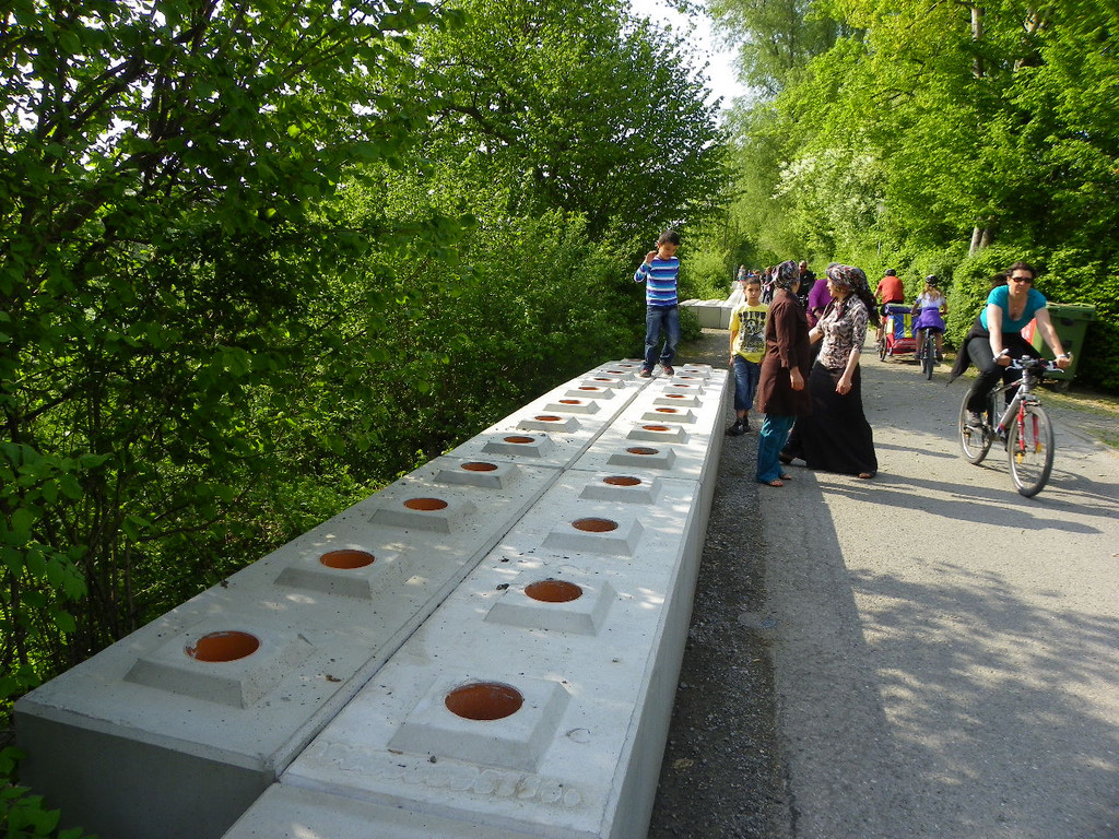 110_5003_JPG-1306183553