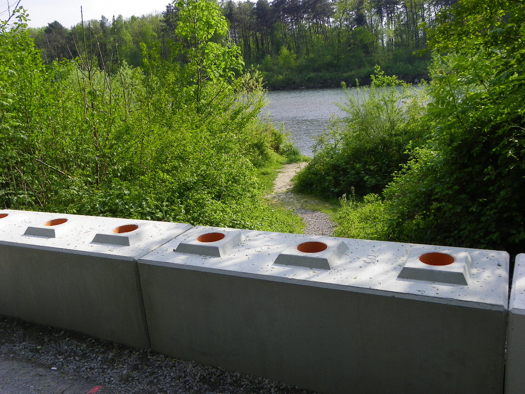 110_5006_JPG-1306183561