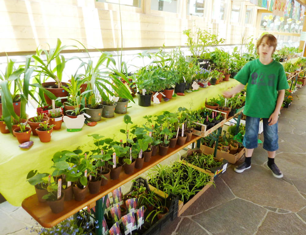 Blumen2_jpg-1306183530