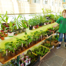 Mehr Bilder vom Blumen-, Kräuter- und Gemüsemarkt am Elternsprechtag