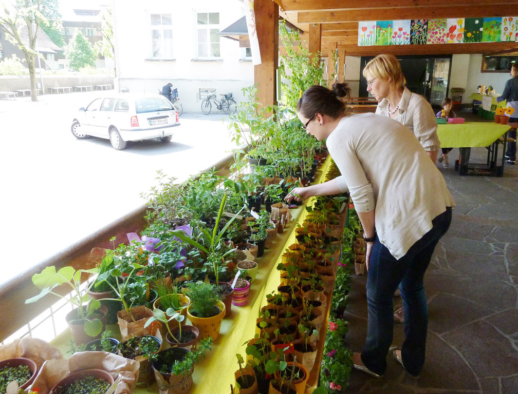 Blumen5_jpg-1306183571