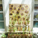 Blumen4_jpg-1306183608