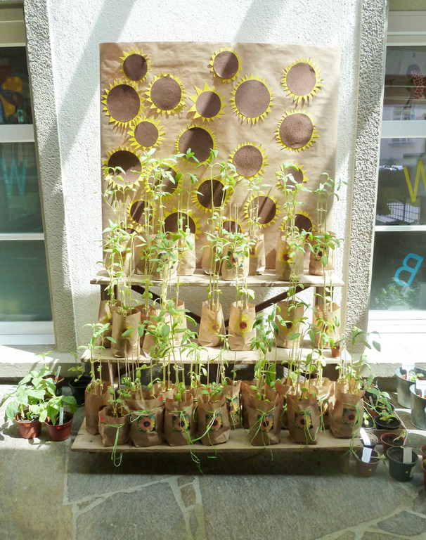 Blumen4_jpg-1306183608