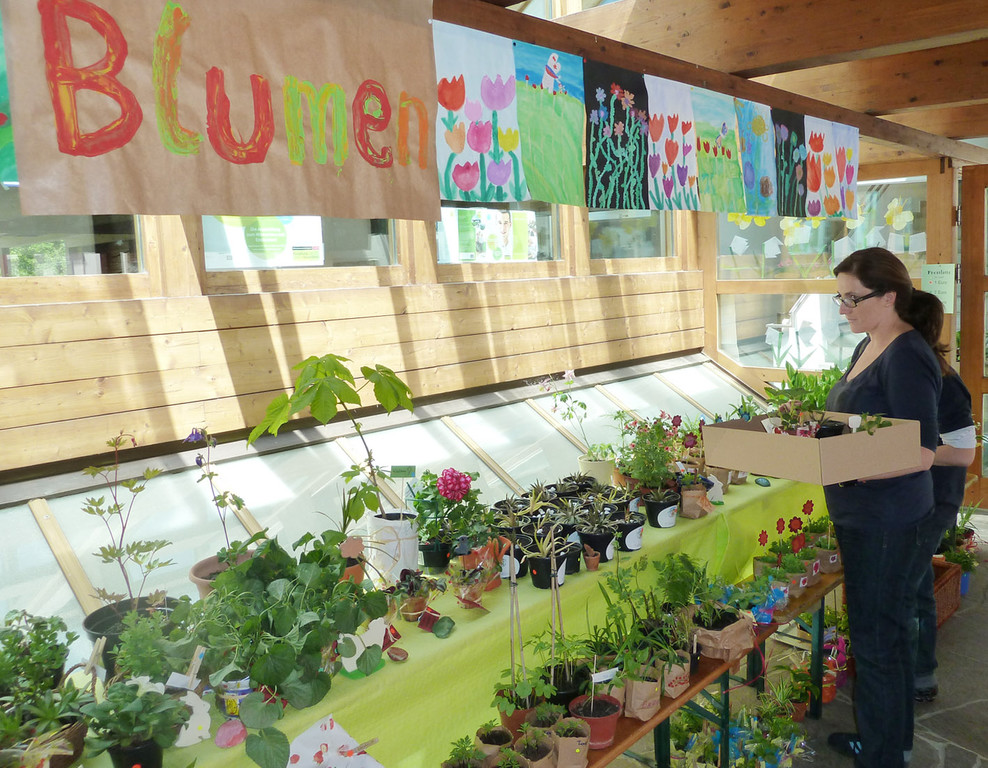 Blumen3a_jpg-1306183625