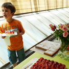 Blumen9_jpg-1306183639