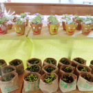 Blumen10_jpg-1306183706