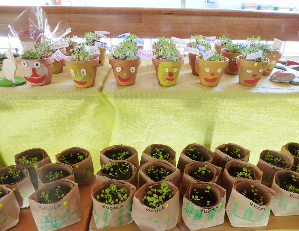 Blumen10_jpg-1306183706