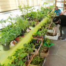 Blumen13_jpg-1306183808