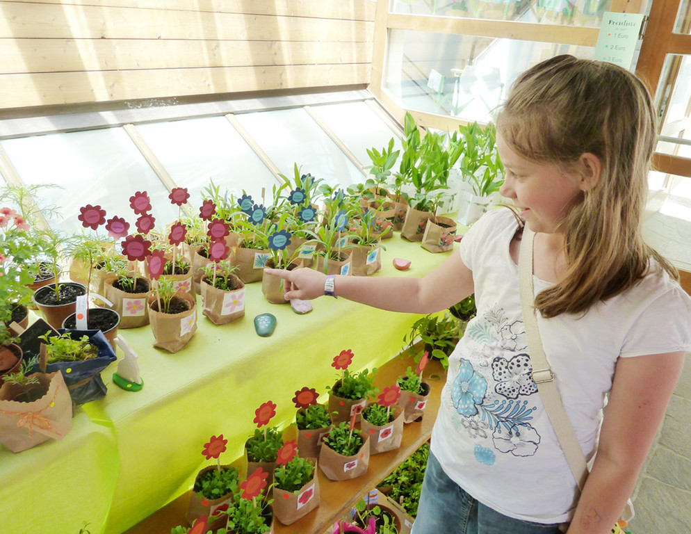 Blumen14_jpg-1306183823