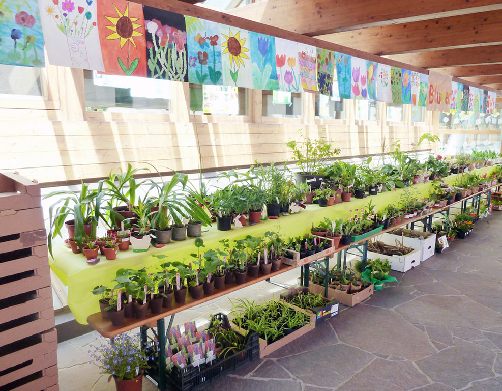 Blumen15_jpg-1306183841