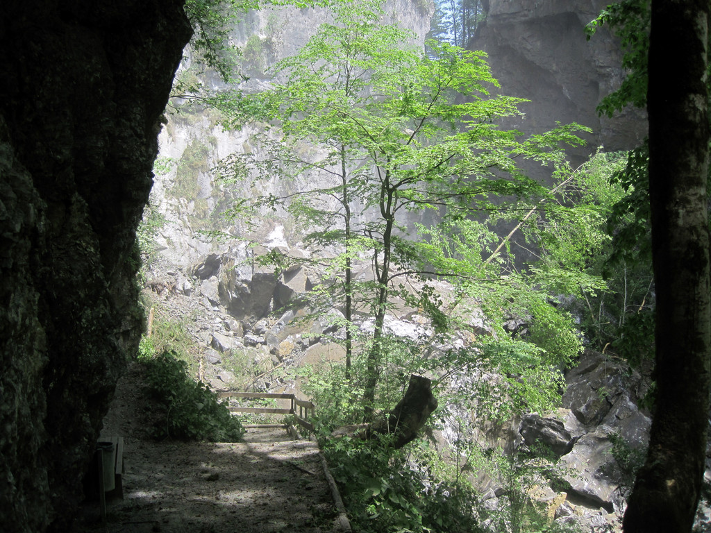 IMG_1741_JPG-1306189818