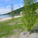 110_9226_JPG-1306190638