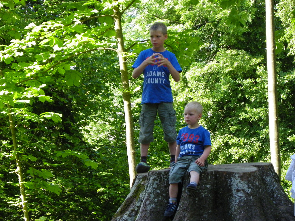 110_9725_JPG-1306192041