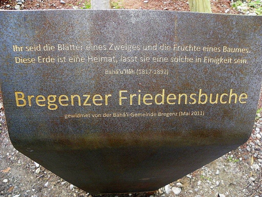 110_9748_JPG-1306192103