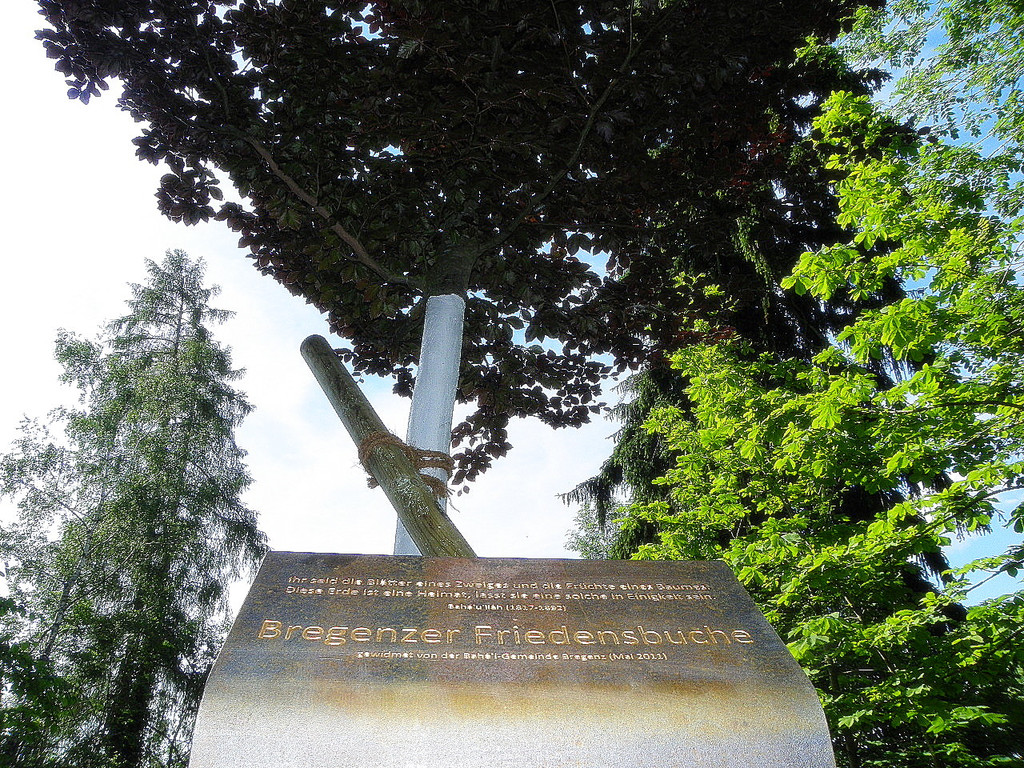 110_9750_JPG-1306192115