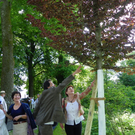 110_9751_JPG-1306192127