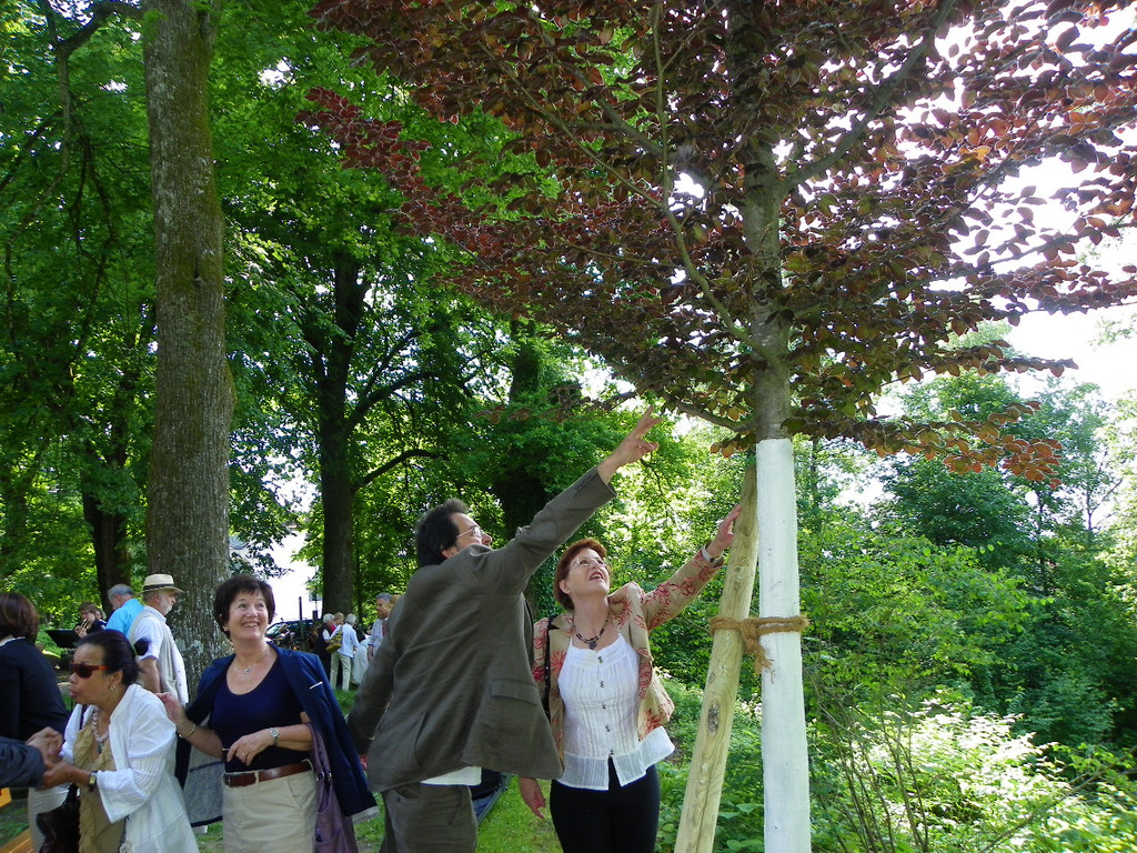 110_9751_JPG-1306192127