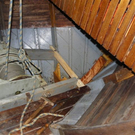 110_9538_JPG-1306196321