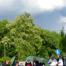 110_9798_JPG-1306196365