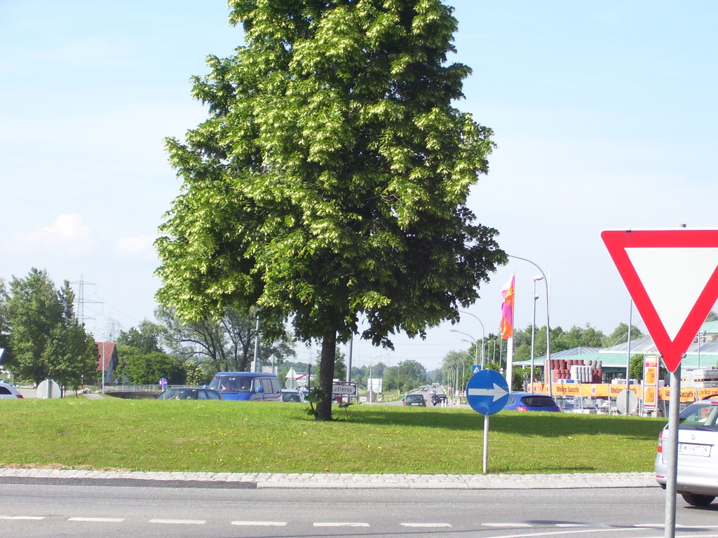 Mai 11 002_JPG-1306217051