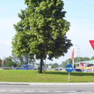 Gestaltung der Kreisverkehre lässt Wünsche offen