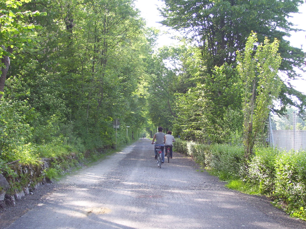 Mai 11 009_JPG-1306217856