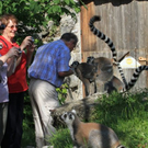 normal_22052011zooffdsaktivnews_294.jpg