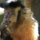 normal_22052011zooffdsaktivnews_346.jpg
