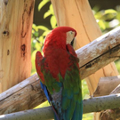 normal_22052011zooffdsaktivnews_361.jpg