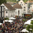 New_Orleans2009c_jpg-1306235158