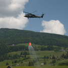 P1000617.JPG