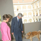 AT__4270.jpg
