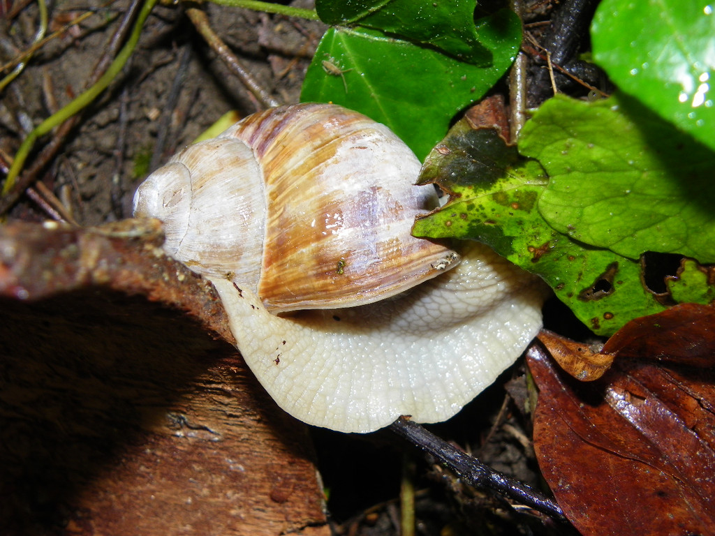 110_8291_JPG-1306365403