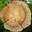 110_8284_JPG-1306365368