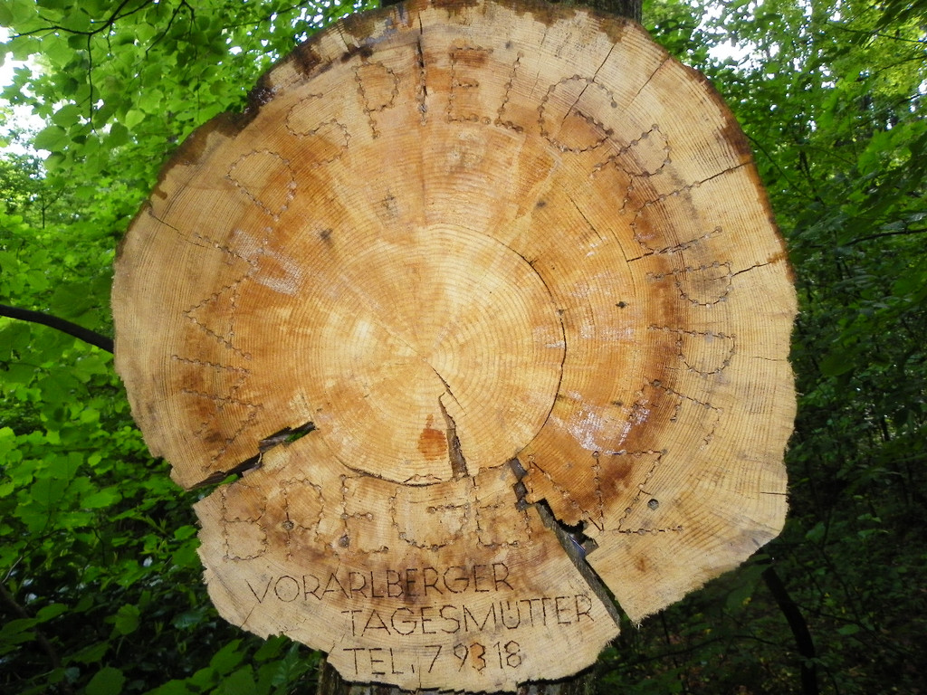 110_8284_JPG-1306365368