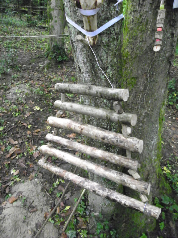 110_8271_JPG-1306365481