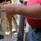 KOE_Faszination Spargel 6_jpg-1306401357