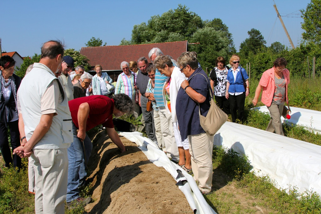 KOE_Faszination Spargel 9_jpg-1306401381