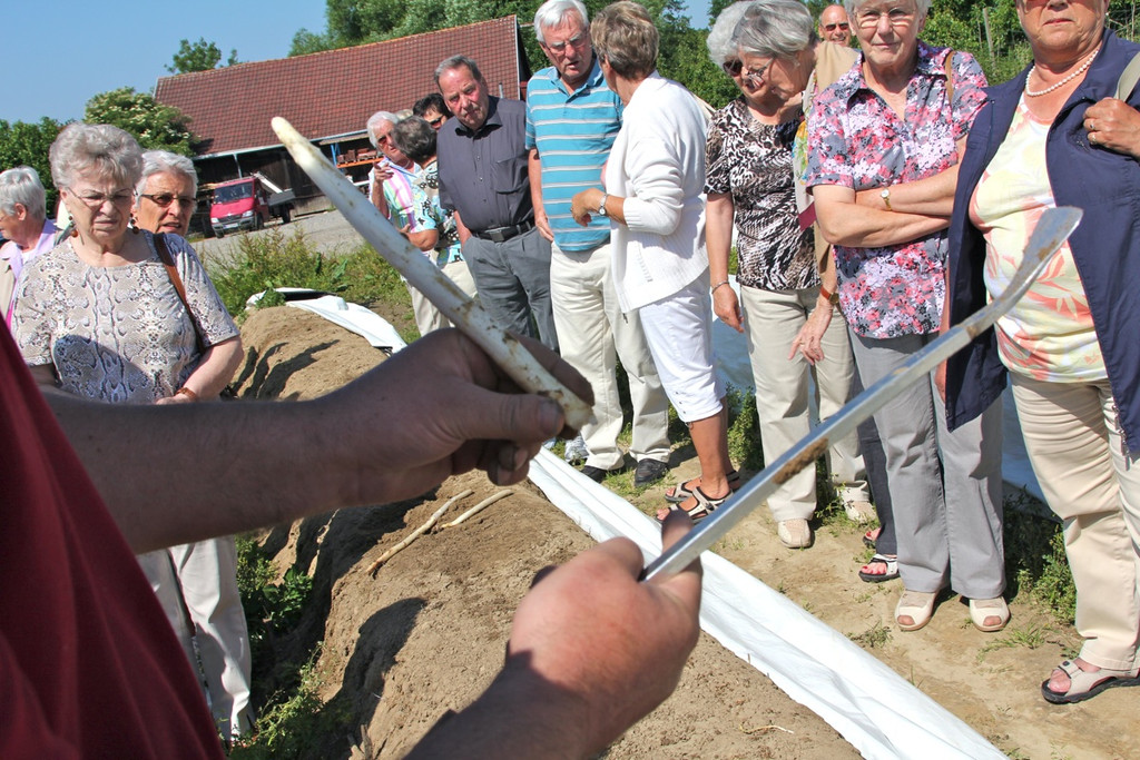 KOE_Faszination Spargel 19_jpg-1306401467