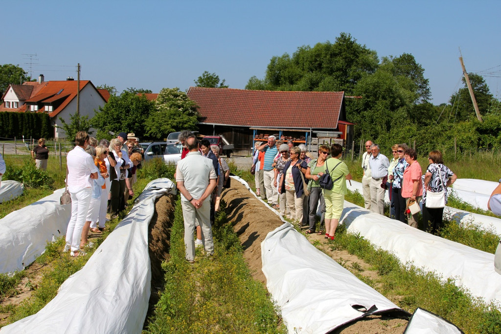 KOE_Faszination Spargel 24_jpg-1306401516